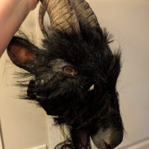 Black Ram Head Professional Mask by Pumpkin Pulp